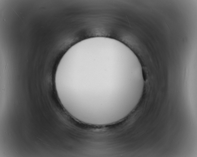 X0000085280306200703301922