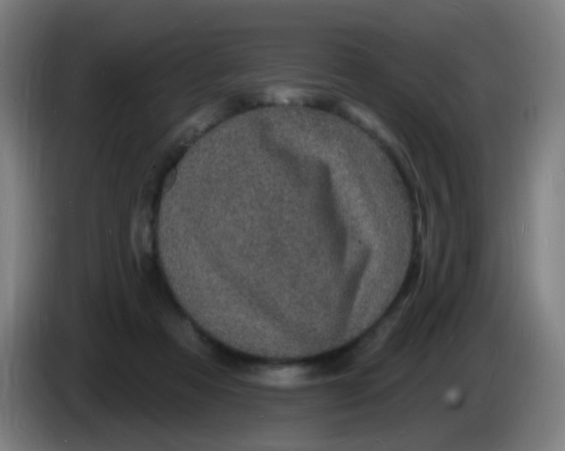 X0000085280313200703301921