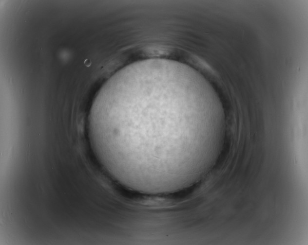 X0000085280315200703301921