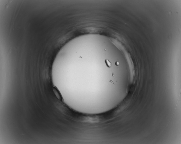 X0000085280317200703301921