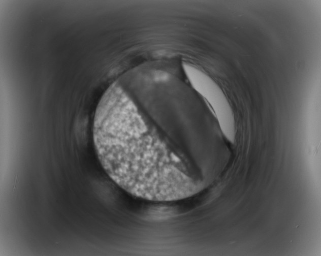 X0000085280319200703301921