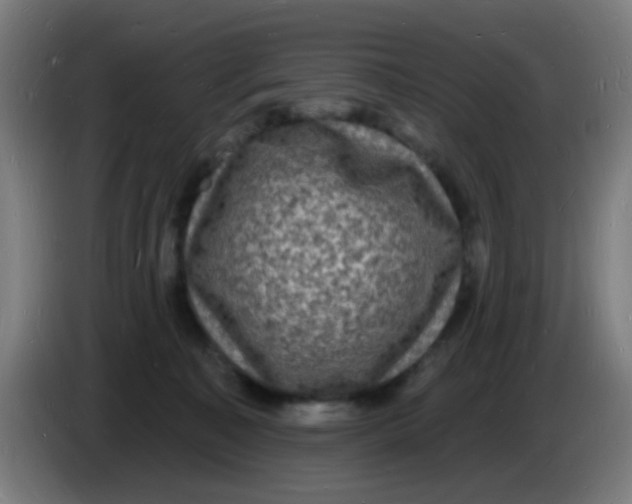 X0000085280323200703301921