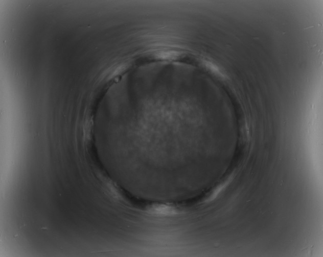 X0000085280325200703301921