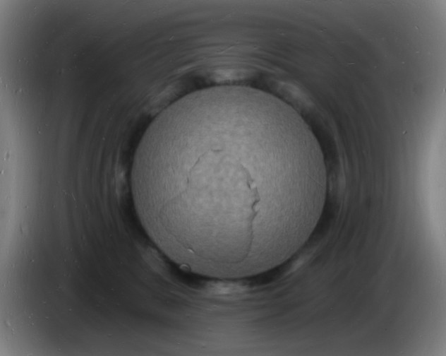 X0000085280327200703301921