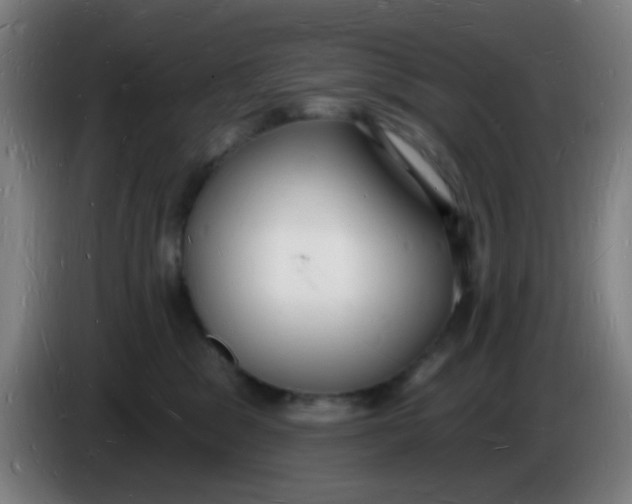 X0000085280329200703301921