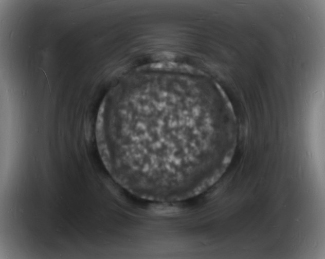 X0000085280331200703301921