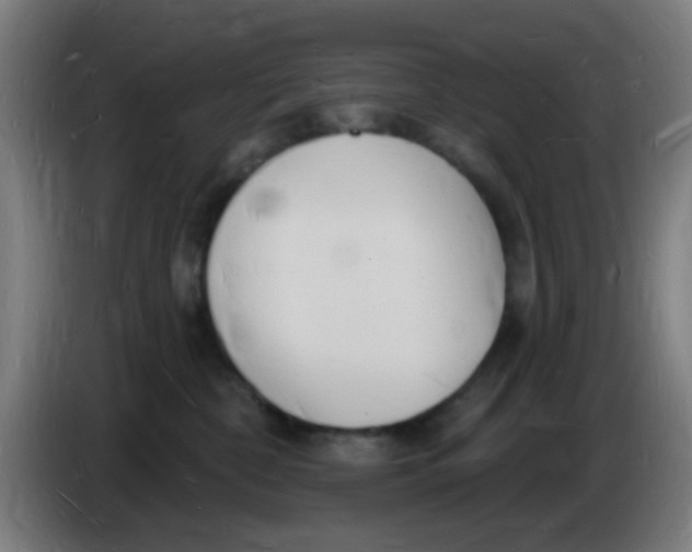 X0000085280332200703301921