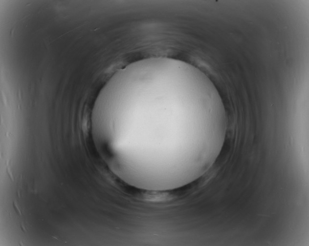 X0000085280334200703301921