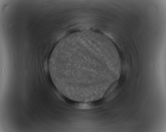 X0000085280335200703301921