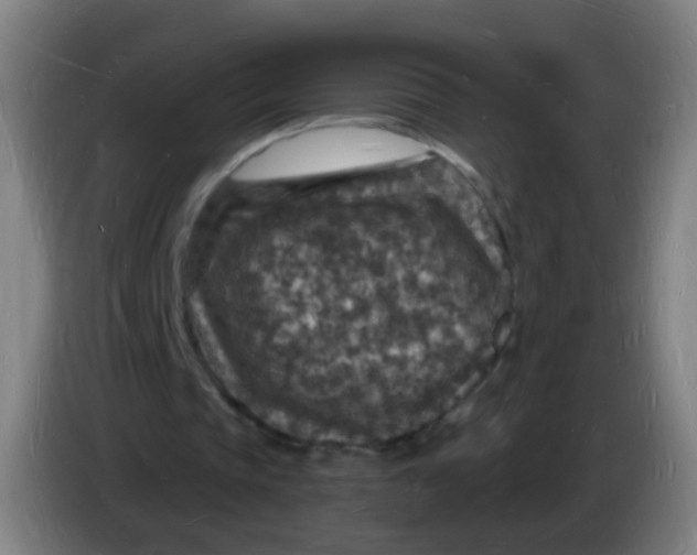 X0000085280337200703301920