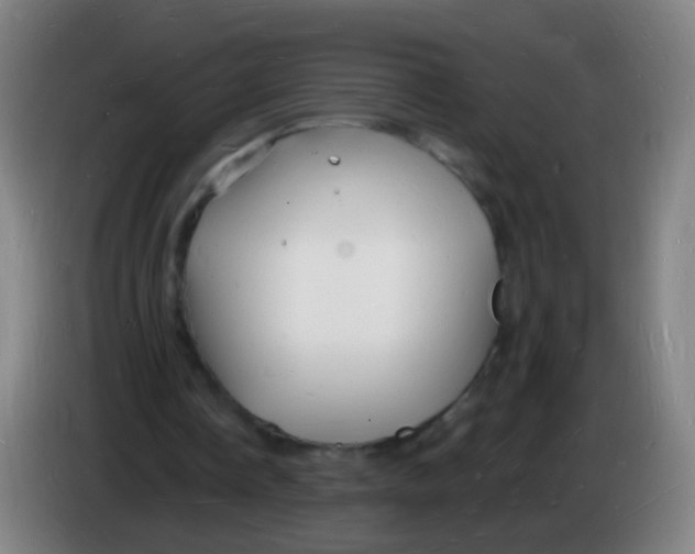 X0000085280338200703301920