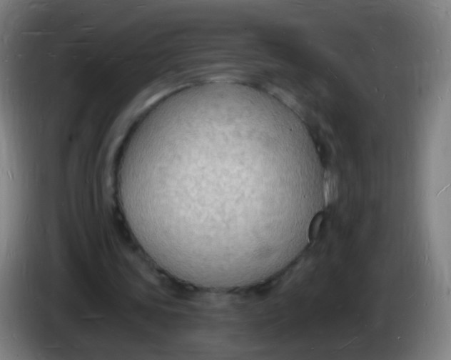 X0000085280339200703301920