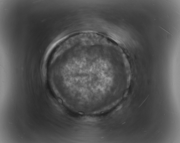 X0000085280343200703301920