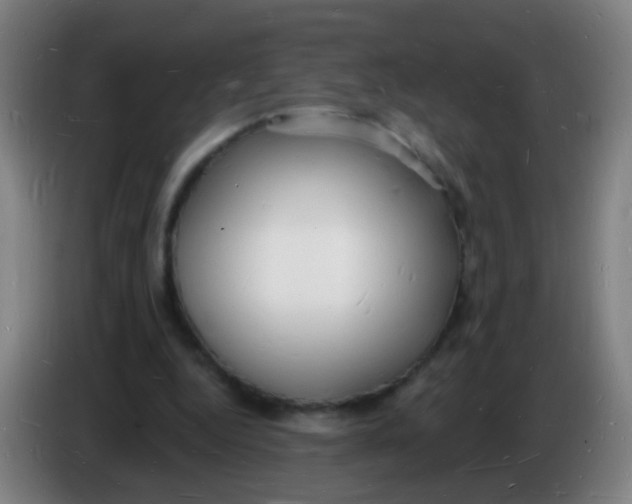 X0000085280344200703301920