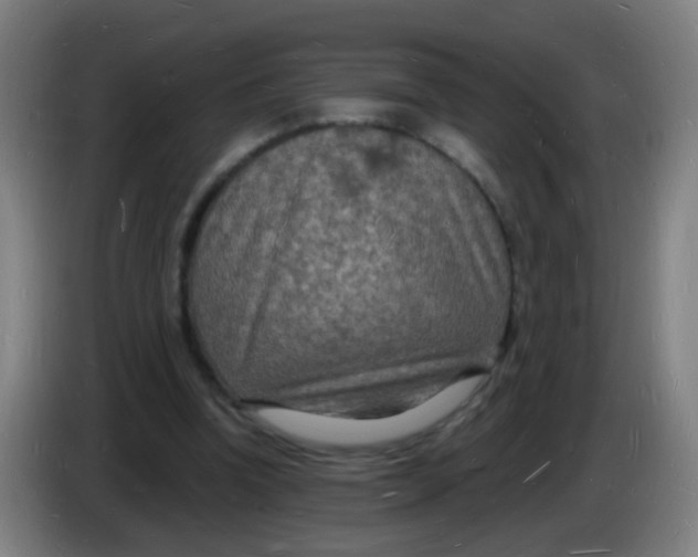 X0000085280346200703301921