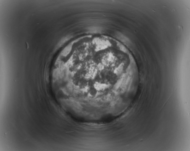 X0000085280347200703301921