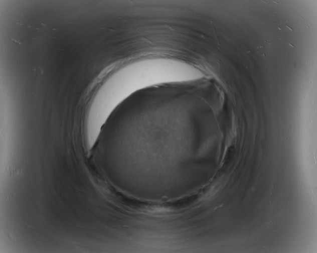 X0000085280348200703301921