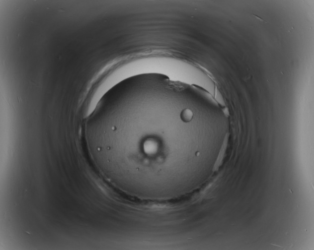 X0000085280350200703301921