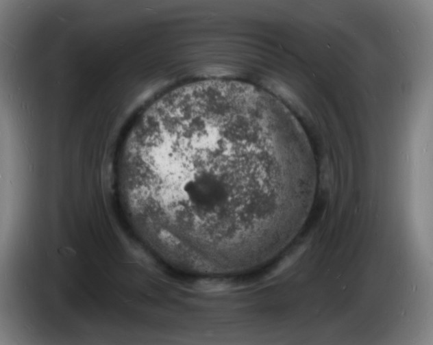 X0000085280351200703301921