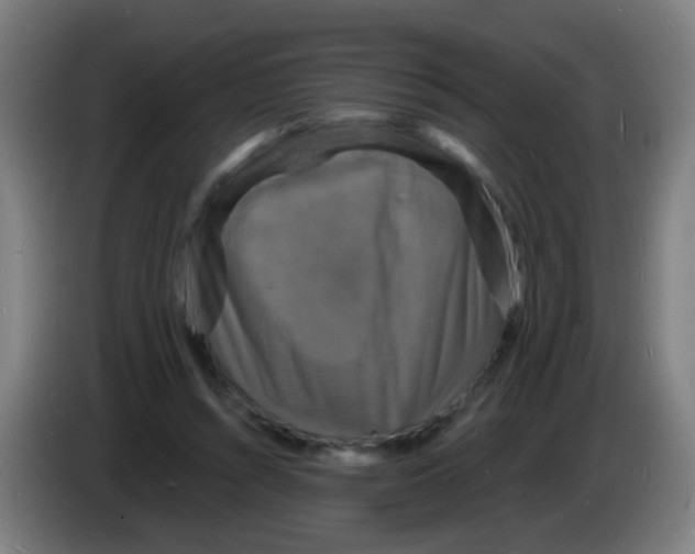 X0000085280352200703301921