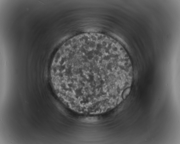 X0000085280353200703301921