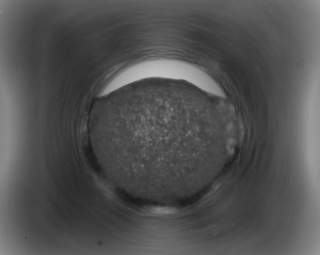 X0000085280360200703301921