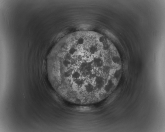 X0000085280361200703301921