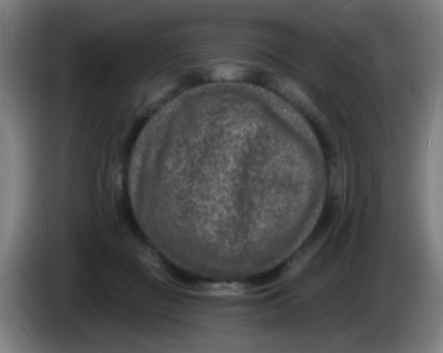 X0000085280363200703301921