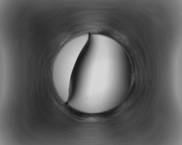 X0000085280364200703301921