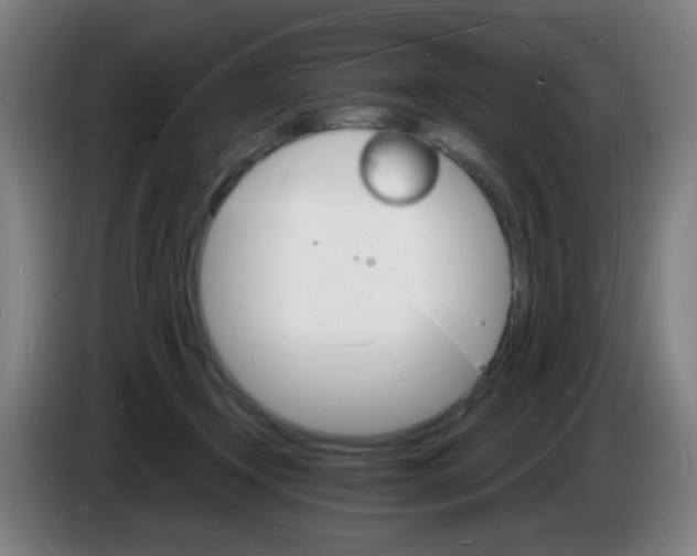 X0000085280366200703301921