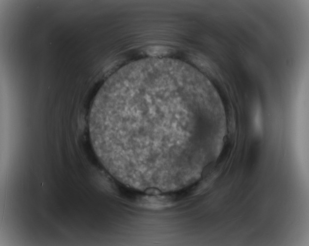 X0000085280367200703301921