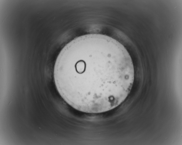 X0000085280370200703301921