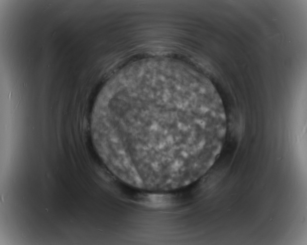 X0000085280371200703301921