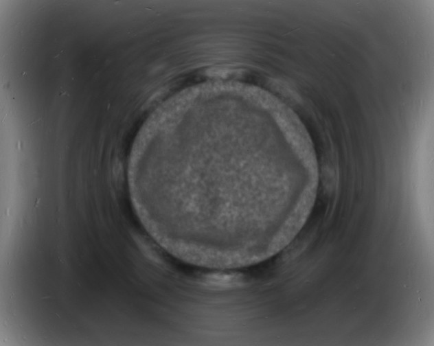 X0000085280375200703301921