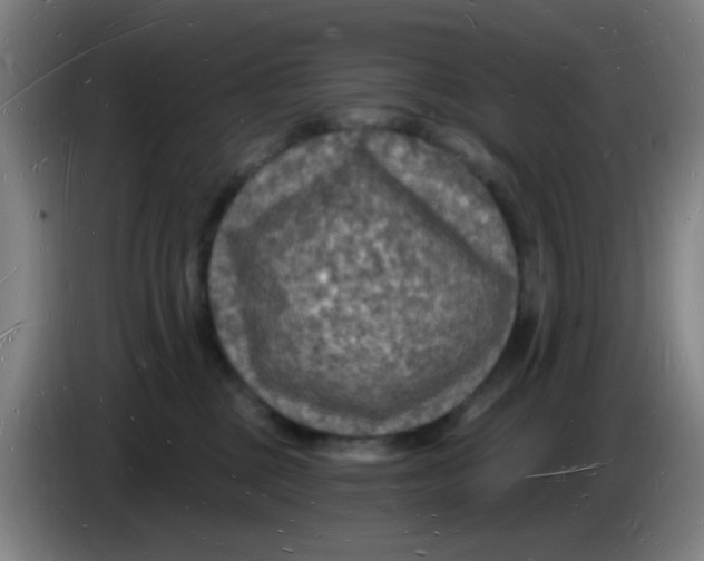 X0000085280377200703301921