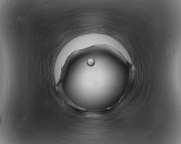 X0000085280380200703301921