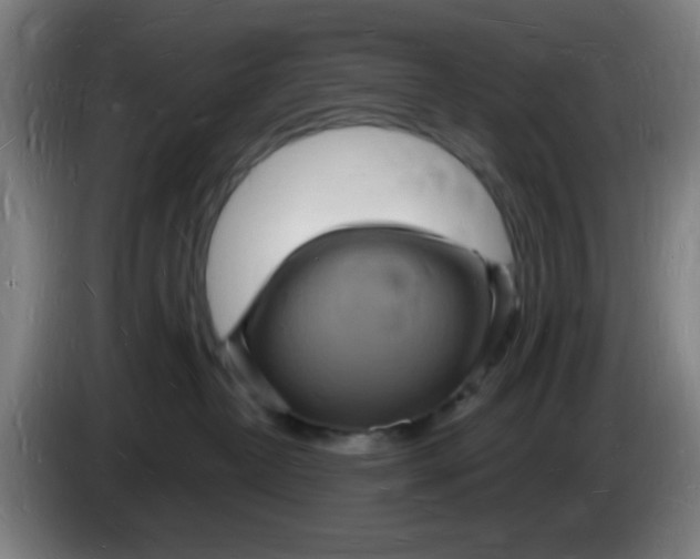 X0000085280382200703301921