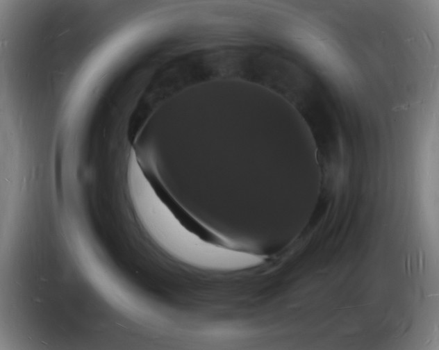 X0000085280383200703301921