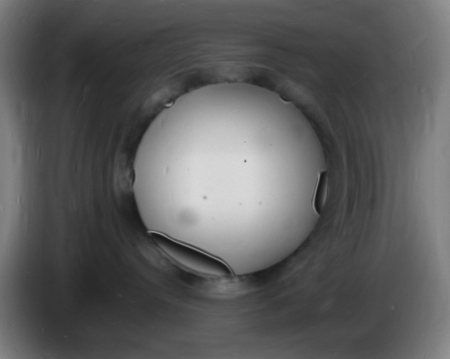 X0000085280384200703301921