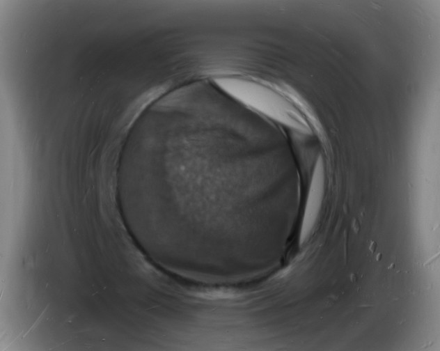 X0000085280385200703301920