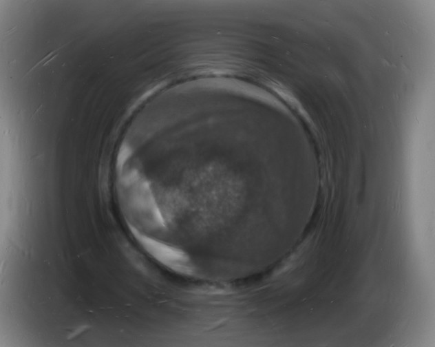 X0000085280386200703301920