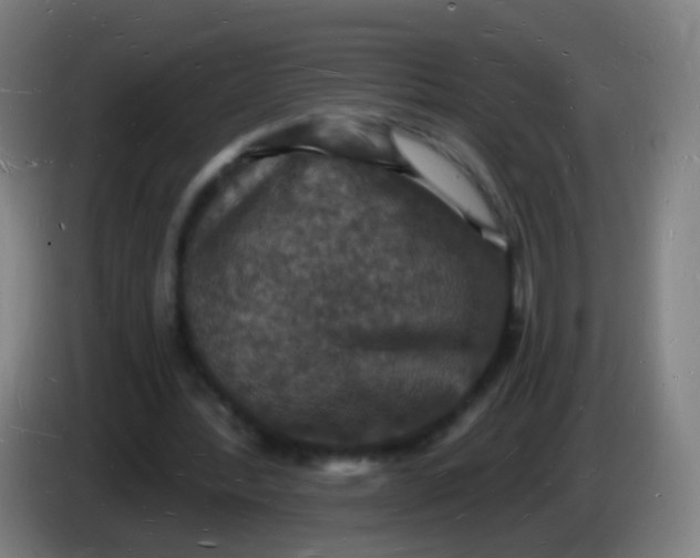 X0000085280388200703301920