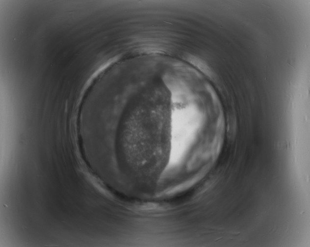 X0000085280390200703301920