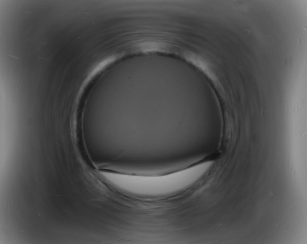 X0000085280391200703301920