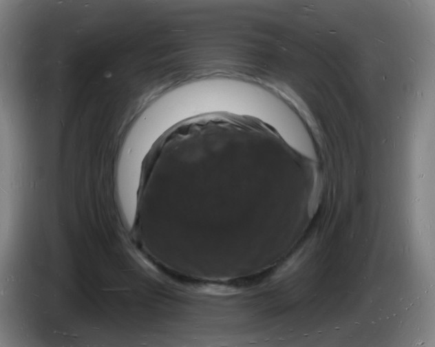 X0000085280393200703301920