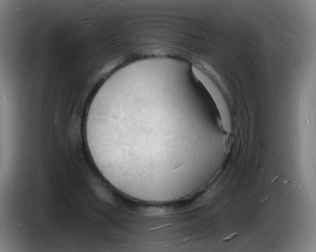 X0000085280394200703301920