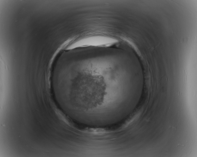 X0000085280395200703301920