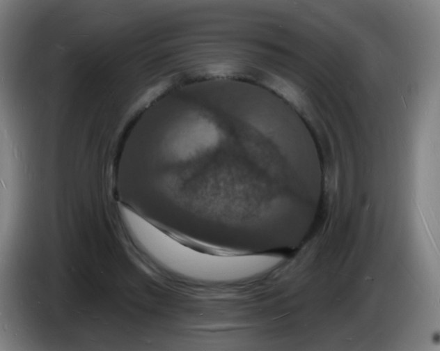 X0000085280397200703301920