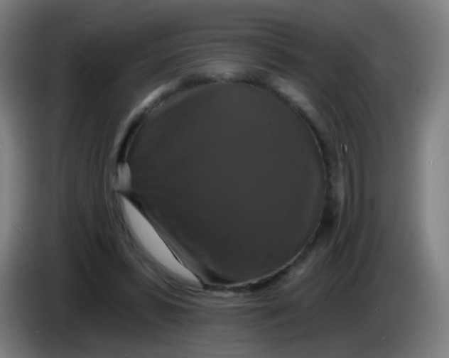 X0000085280399200703301920