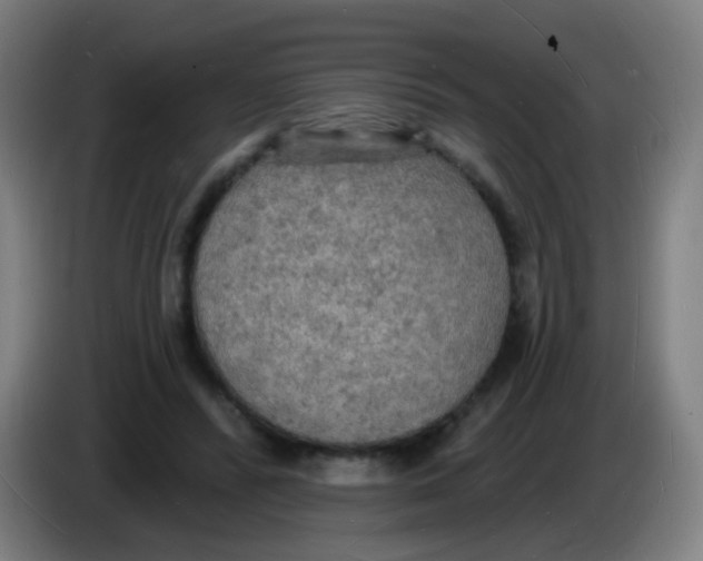 X0000085280400200703301920